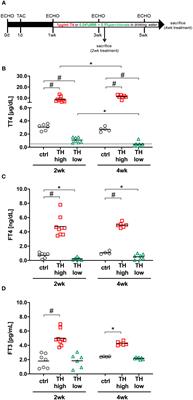 Cardiac recovery from pressure overload is not altered by thyroid hormone status in old mice